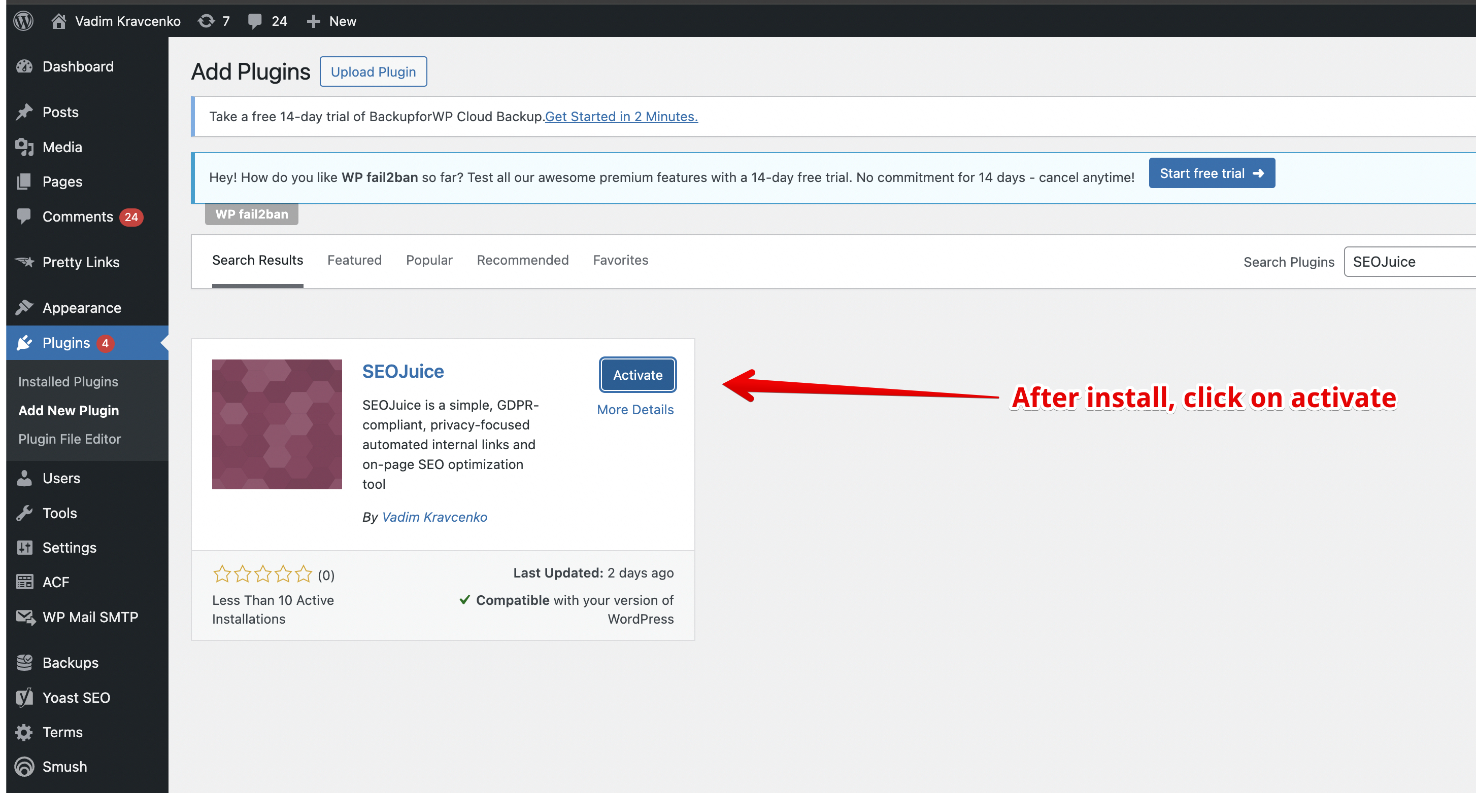 WordPress plugin activation screen for SEOJuice
